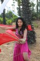 Rachana Maurya Hot Spicy Stills