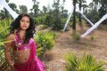 Rachana Maurya Hot Spicy Stills