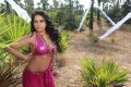 Rachana Maurya Hot Spicy Stills