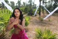 Rachana Maurya Hot Spicy Stills