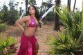 Rachana Maurya Hot Spicy Stills