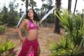 Rachana Maurya Hot Spicy Stills