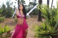 Rachana Maurya Hot Spicy Stills