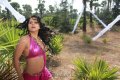 Rachana Maurya Hot Spicy Stills