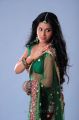 Rachana Mourya Spicy Pics in Green Transparent Saree