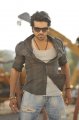 Rachcha Ram Charan Photos