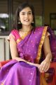 Telugu Actress Radha Bangaru in Blue Saree Photos