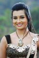 Yuvakudu Movie Actress Radhika Pandit Hot Photos