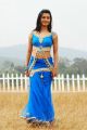 Actress Radhika Pandit Hot Stills in Yuvakudu Movie