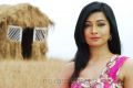 Telugu Actress Radhika Pandit Latest Stills in Yuvakudu Movie