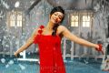 Actress Radhika Pandit Hot Photos in Yuvakudu Movie