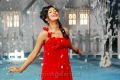 Actress Radhika Pandit Hot Photos in Yuvakudu Movie