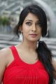 Telugu Actress Radhika Pandit Photos in Yuvakudu