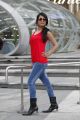 Telugu Actress Radhika Pandit Photos in Yuvakudu