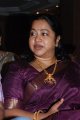 Radhika Sarathkumar Saree Photos Stills
