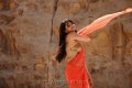 Ragada Anushka Hot Spicy Saree Stills