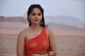 Ragada Anushka Hot Spicy Saree Stills