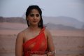 Ragada Anushka Hot Spicy Saree Stills