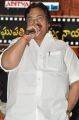 Dasari Narayana Rao @ Raghupathi Venkaiah Naidu Movie Audio Launch Stills