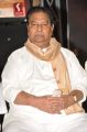 Kaikala Satyanarayana @ Raghupathi Venkaiah Naidu Movie Audio Launch Stills