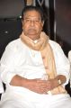 Kaikala Satyanarayana @ Raghupathi Venkaiah Naidu Movie Audio Launch Stills