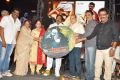 Raghupathi Venkaiah Naidu Movie Audio Launch Stills