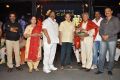 Raghupathi Venkaiah Naidu Movie Audio Launch Stills