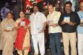 Raghupathi Venkaiah Naidu Movie Audio Launch Stills