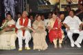 Raghupathi Venkaiah Naidu Movie Audio Launch Stills