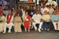 Raghupathi Venkaiah Naidu Movie Audio Launch Stills