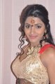 Dhanshika at Raghuram Golden Jubilee Celebration Stills