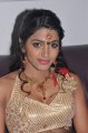 Dhanshika at Raghuram Golden Jubilee Celebration Stills