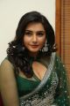 Actress Ragini Dwivedi Hot Pics in Green Saree