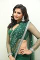 Actress Ragini Dwivedi Hot in Green Saree Pics