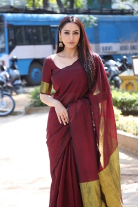Real Dandupalyam Actress Ragini Dwivedi Saree Pics