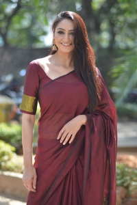Actress Ragini Dwivedi Saree Pics @ Real Dandupalyam Trailer Launch