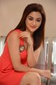 Actress Ragini Nandwani Stills @ Siddhartha Teaser Launch