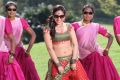 Actress Aksha Pardasany in Rai Rai Movie Hot Stills