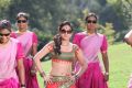Actress Aksha Pardasany in Rye Rye Movie Hot Stills