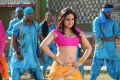 Actress Aksha in Rai Rai Movie Hot Stills