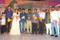 Rail Movie Audio Launch Stills