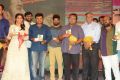 Rail Movie Audio Launch Stills