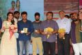 Rail Movie Audio Launch Stills