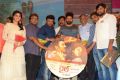 Rail Movie Audio Launch Stills