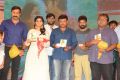 Rail Movie Audio Launch Stills