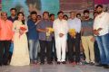 Rail Movie Audio Launch Stills