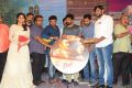 Rail Movie Audio Launch Stills