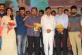 Rail Movie Audio Launch Stills