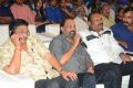 Rail Movie Audio Launch Stills