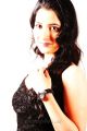 Telugu Heroine Raine Chawla Photo Shoot Gallery